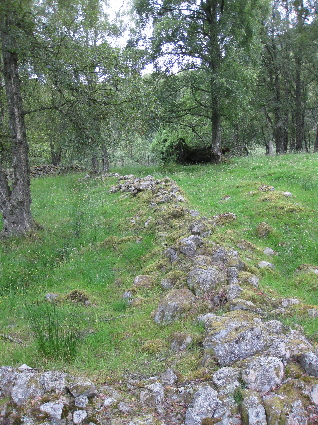 Tomanbuie - the boundary wall